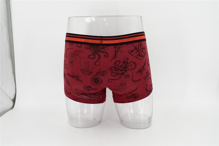 New Wholesale Printed Boxer Briefs Sexy Custom With Custom Logo factory