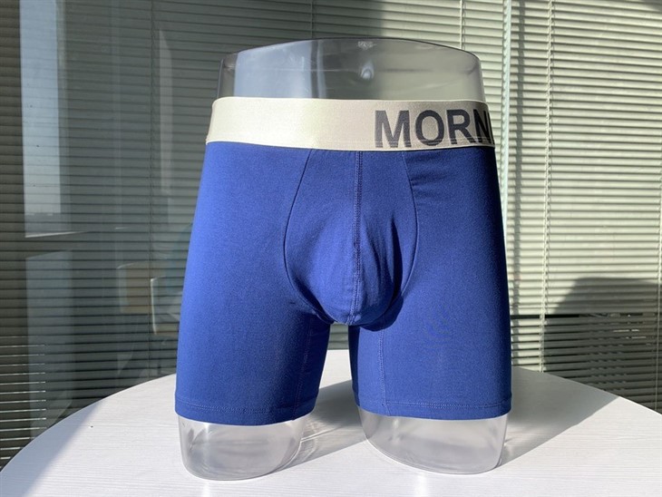 Organic Cotton Boxer Briefs With Jacquard Custom Logo Waistband best